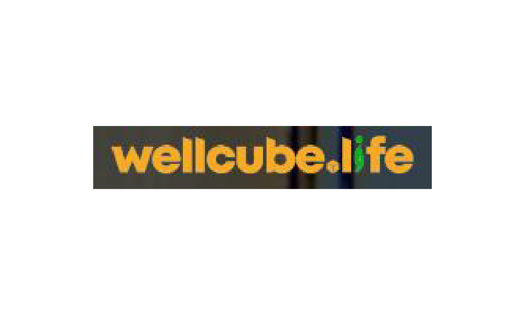 Wellcube-01
